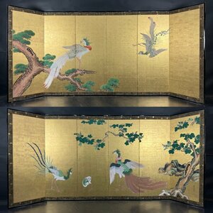 【屏風屋】12t　金台肉筆 伊川法眼（狩野栄信）筆 鳳凰の図 屏風 高さ 約171.5cm 六曲一双 紙本 花鳥図 日本画