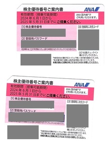 【最新版・送料込み】 ANAホールディングス 株主優待番号ご案内書 2枚 ◆ 株主優待券 株主割引券 航空券 全日本空輸 全日空