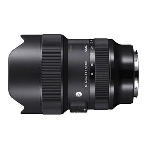 中古 １年保証 美品 SIGMA Art 14-24mm F2.8 DG DN (ライカSL/TL用)