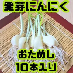 麗菜発芽にんにく【おためし10本入】