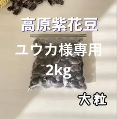 高原紫花豆 2kg 2024年産 長野県八ヶ岳麓産　自家製