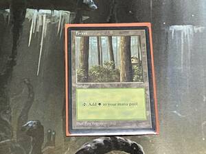 MTG 森 APAC1 英 1枚迄