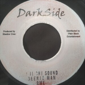 I Wayne / Cant Stop This Fire Beenie Man /Chi Chi Sound Sleng Teng Riddim Punnany Remix