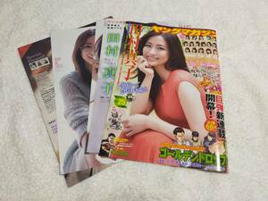 田村真子　　　雑誌切り抜き　　　　６P