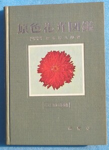 ★★原色花卉図鑑 下巻 塚本洋太郎著 一・二年草・花木編 保育社 裸本