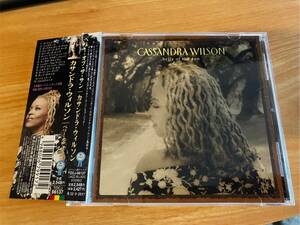 カサンドラ・ウィルソン CASSANDRA WILSON / belly of the sun　国内盤　帯付き