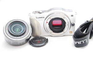 Panasonic　LUMIX GF5/14-42mm （良品）07-29-11