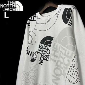 1円～!売切!【正規新品】THE NORTH FACE◆GRAPHIC INJECTION CREW プルオーバー トレーナー US限定 レア グラフィック 登山(L)白 181130-28