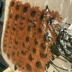 送料無料☆本物 押し花 素材 ハンドメイド 花材 200枚　押し花　ミニヒマワリ オレンジ染 ひまわり