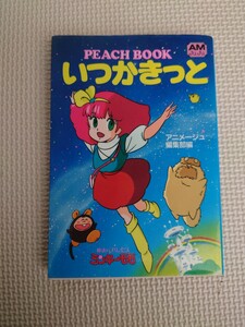 アニメージュ文庫 魔法のプリンセス ミンキーモモ PEACH BOOK いつかきっと 徳間書店 1983年 初版 昭和 レトロ コレクション アニメ