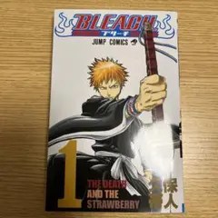 Bleach 1