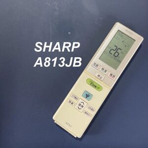 シャープ SHARP A813JB リモコン エアコン 除菌済み 空調 RC3182