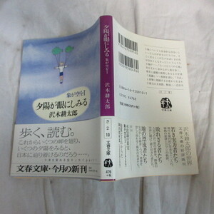 ●◆沢木耕太郎文庫本「夕陽が目にしみる　象が空をⅠ」文春文庫