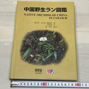 中国野生ラン図鑑 陳心啓 吉占和 羅毅波　森和男 オーム社　【A23】