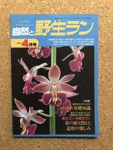 自然と野生ラン 1995年4月号　※ エビネ シュンラン フウラン カンアオイ ウチョウラン ※ 園芸JAPAN