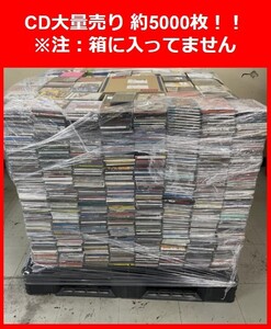 栃木県引き取り限定 ＣＤ 約5000枚 大量まとめ売り　洋楽　邦楽　クラシック　セット売り　ジャンル様々在庫 5000枚以上 CDケース取りにも