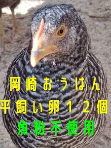 岡崎おうはん　平飼い卵　１２個　無洗卵　動物性飼料不使用