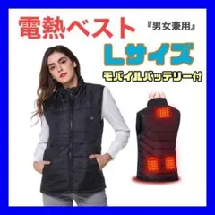 必需品！電熱ベスト ヒーター Lサイズ 発熱 スキー 釣り キャンプ 防災