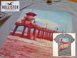 新品 HOLLISTER グレーＴシャツ Ｍ【 胸囲 約９４ｃｍ 】ホリスター 綿混ドライ