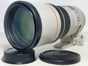 ◆極美品◆CANON キャノン EF 300mm F:4L IS USM 単焦点望遠レンズ 6ヶ月動作保証 即決送料無料