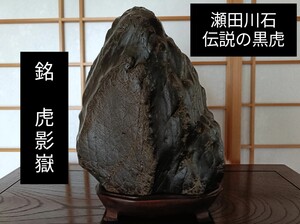 銘【虎影嶽】〜瀬田川石★伝説の黒虎石★天然うぶ★〜鑑賞石 観賞石 水石 盆栽 美石 菊花石 水盤 卓 花台 骨董 古美術