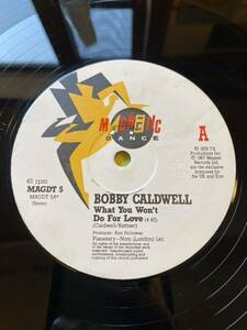 名曲　Bobby Caldwell/What You Won