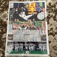 2007年中日ドラゴンズ優勝記念クリアーファイル