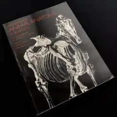 アーティストのための動物解剖学「Animal Anatomy」Dover