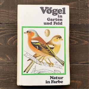 ドイツの古い鳥と卵の図鑑(Vogel in Garten und Feld 1973年)/ヴィンテージ ヨーロッパ 鳥図鑑 鳥の絵 鳥のイラスト 美品 雰囲気◎/