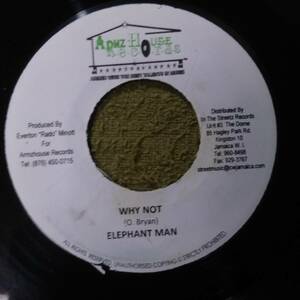 Hard Jugglin Track Double Action Riddim Single 2枚Set from Arms House Elephant Man Mr Vegas