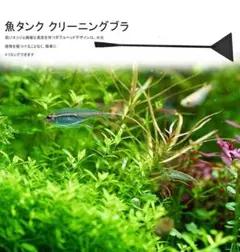 水槽スクレーパー 魚タンク クリーニングブラシ アクアリウムクリーナー ブラック