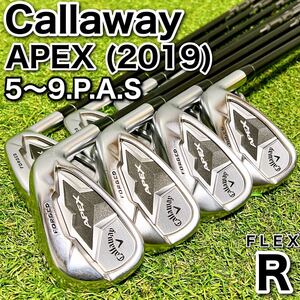 メンズ クラブ アイアンセット キャロウェイ APEX 2019 ８本セット Callaway R Speeder 右利き