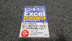 【美品】EXCEL ピボットテーブル 基本ワザ&仕事ワザ 参考書