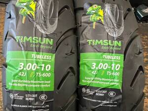 ★300-10・TIMSUN(ティムソン)　TS600　新品・未使用・２本セット★