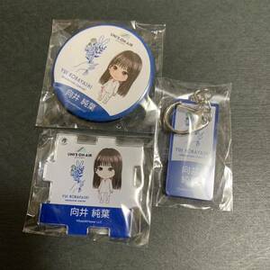 櫻坂46 生写真　縁日　ガチャ　カプセルトイ　隙間風 Start over ネームアクリルキーホルダー　丸型缶バッジ　パズル　向井純葉