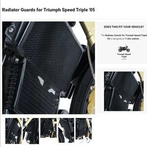 40%OFF★R&G ラジエーターガード TRIUMPH SPEED TRIPLE 1050 2005 トライアンフ スピードトリプル RAD0161TI