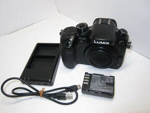 Panasonic LUMIX GH4 (ショット数 877回) ■ 10696 ①