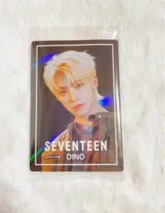 即購入OK⭕️ SEVENTEEN セブチ トレカ ディノ 디노 ウエハース