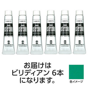 【6本×5セット】 ターナー色彩 ポスターカラー 11ml 25 ビリディアン TURNER108794X5 /l