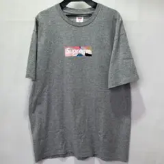 Supreme シュプリーム×エミリオプッチ ボックスロゴTシャツ