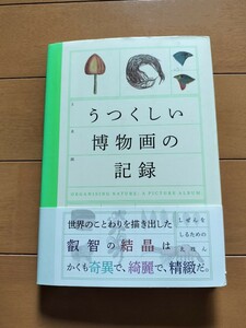 うつくしい博物画の記録 しぜんをしるためのえほん 博物画 ウェルカム・コレクション 図鑑 図譜 画譜 動物 植物 鉱物 ボタニカルアート