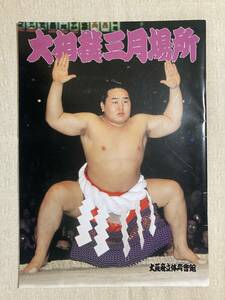 2004年（平成16年）大相撲三月場所：大阪場所パンフレット - 横綱:朝青龍 大関:千代大海、魁皇、栃東、武双山 関脇:若の里、琴光喜