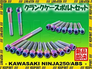 チタンボルト カワサキ Ninja250/ABS専用 ニンジャ250 EX250 2013-2014 クランクケース エンジンカバー ボルト セット 20本 焼き色 ネジ