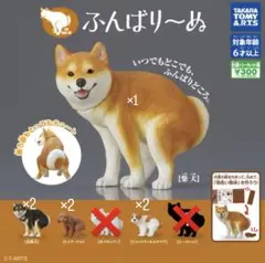 ふんばり〜ぬ ガチャ 柴犬 黒柴 トイプードル シークレット