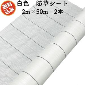 防草シート 白色（サンホワイト） 2m×50m 2本セット 抗菌剤 UV剤入り 反射 除草シート 雑草対策 太陽光 野菜 畑 農業