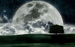 月 ビッグムーン ズームアップ 地平線 天体 神秘 癒し パワー 絵画風 壁紙ポスター ワイド版603×376mm（はがせるシール式）007W2