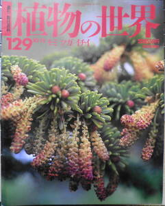 植物の世界　週刊朝日百科　モミ/ツガ/イチイ　平成8年10/13第129号　q