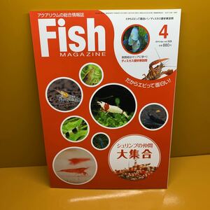 月刊 フィッシュマガジン 2010年4月 vol.529 飼育術はマニアに学べ　ディスカス愛好家訪問　シュリンプの仲間　大集合