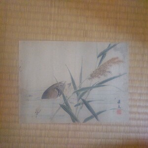【模写】村松景文　花鳥木版画　2枚