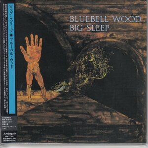 紙ジャケ BIG SLEEP / BLUEBELL WOOD（国内盤CD）